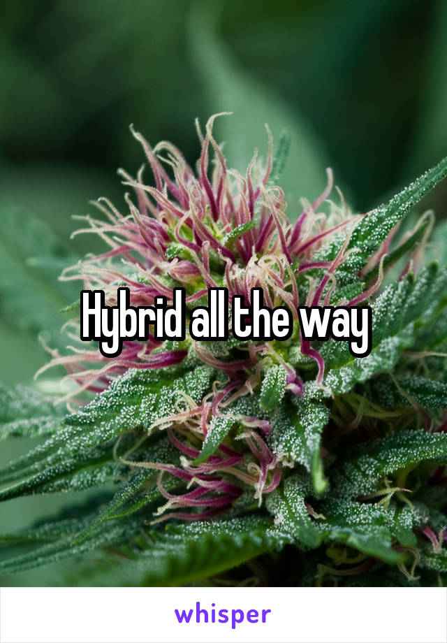 Hybrid all the way