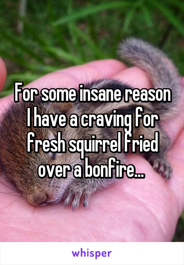 For some insane reason I have a craving for fresh squirrel fried over a bonfire... 