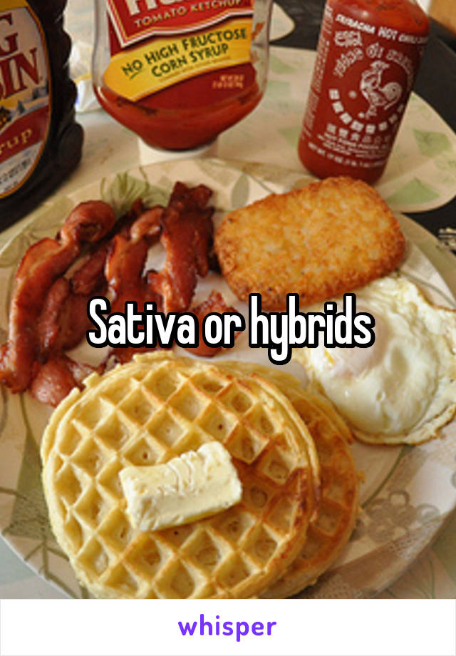 Sativa or hybrids