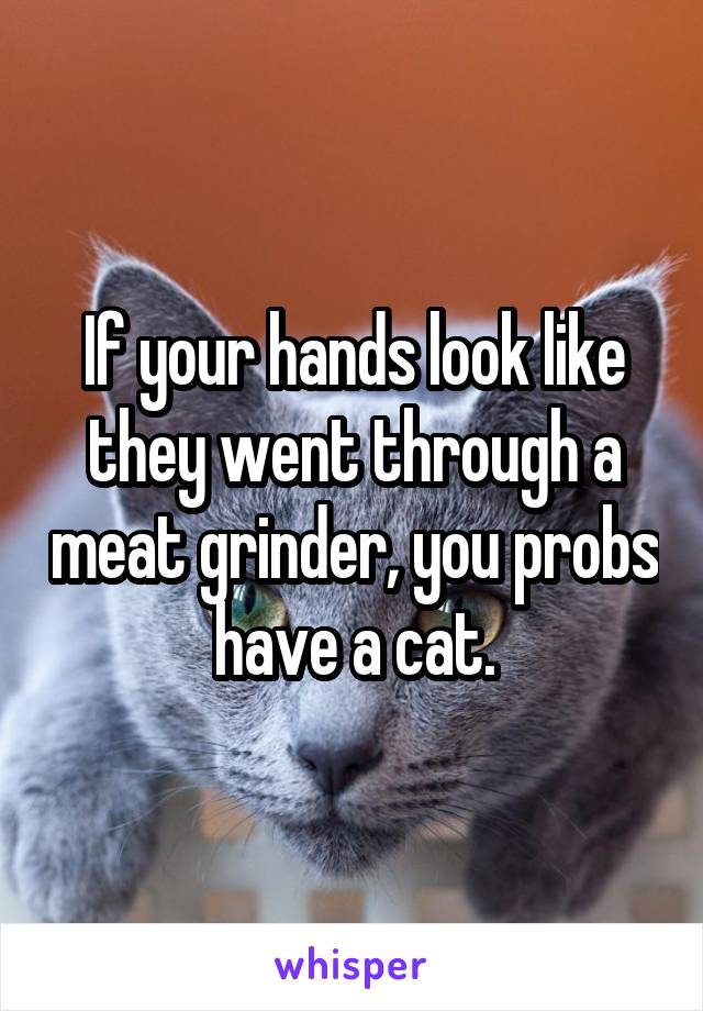 If your hands look like they went through a meat grinder, you probs have a cat.