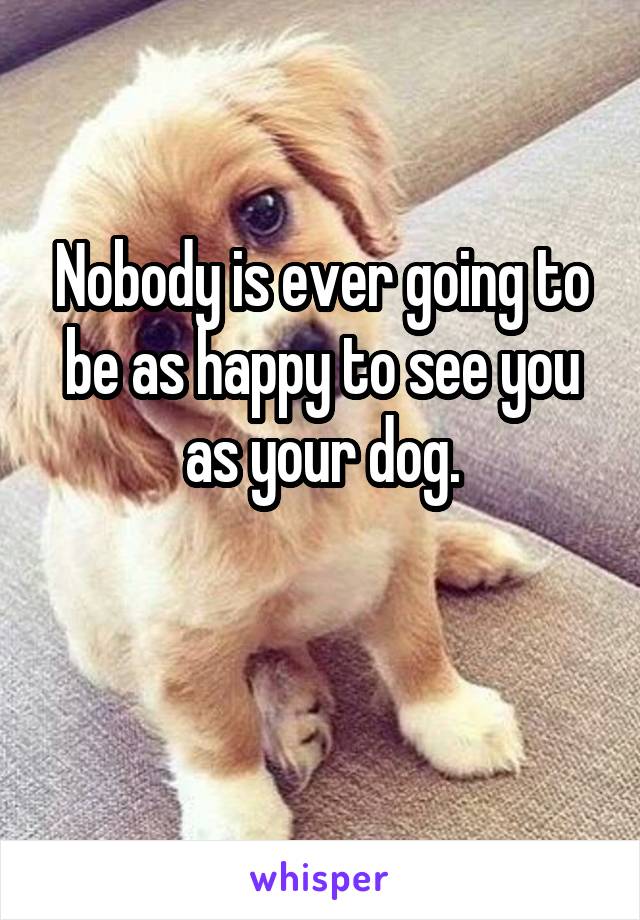 Nobody is ever going to be as happy to see you as your dog.


