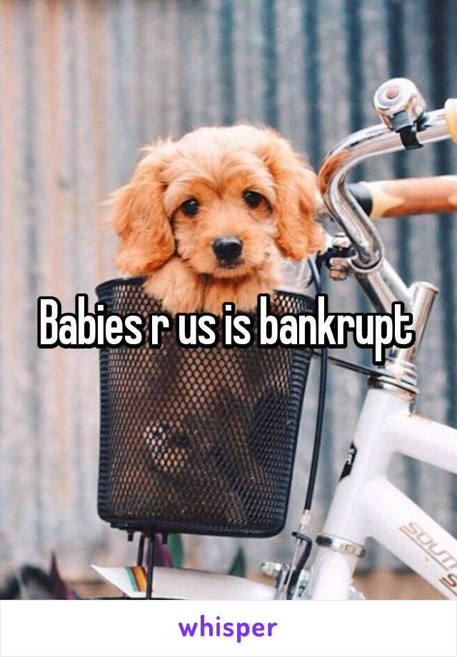 Babies r us is bankrupt 