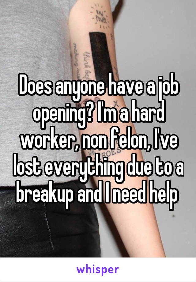 Does anyone have a job opening? I'm a hard worker, non felon, I've lost everything due to a breakup and I need help 