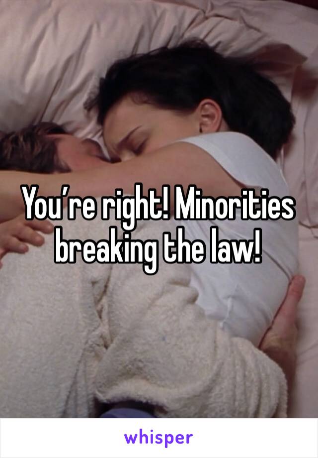 You’re right! Minorities breaking the law! 