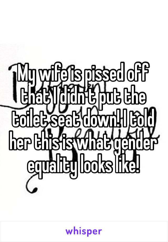 My wife is pissed off that I didn’t put the toilet seat down! I told her this is what gender equality looks like! 