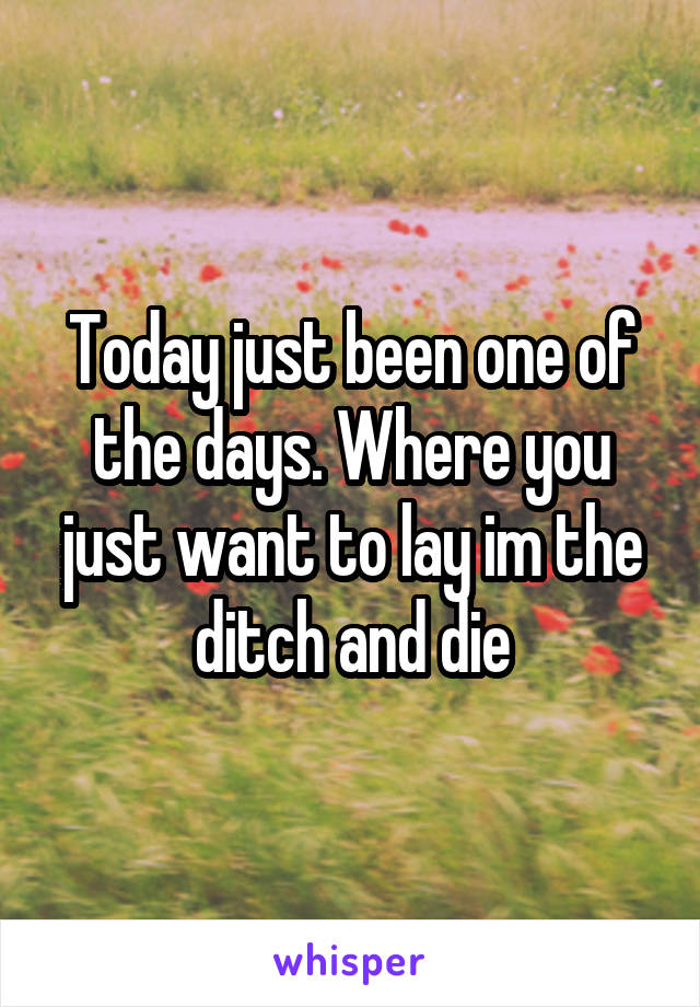 Today just been one of the days. Where you just want to lay im the ditch and die