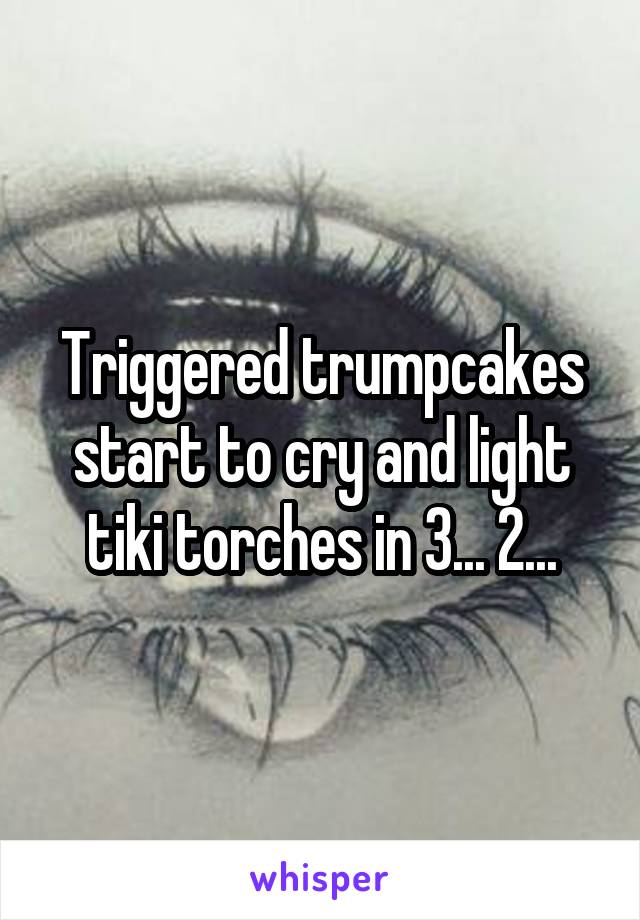 Triggered trumpcakes start to cry and light tiki torches in 3... 2...