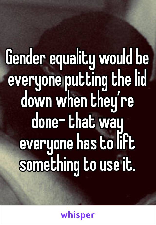 Gender equality would be everyone putting the lid down when they’re done- that way everyone has to lift something to use it. 