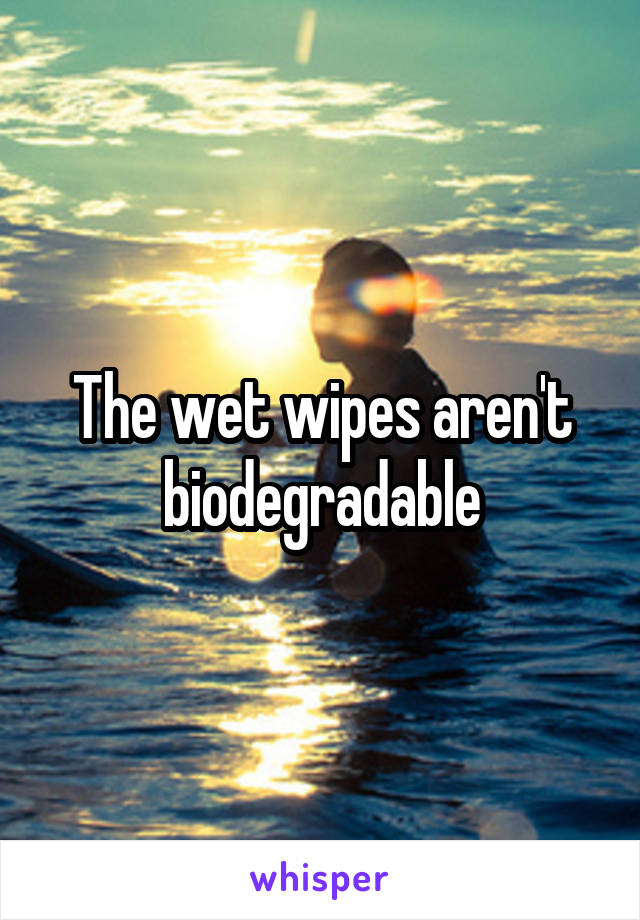 The wet wipes aren't biodegradable