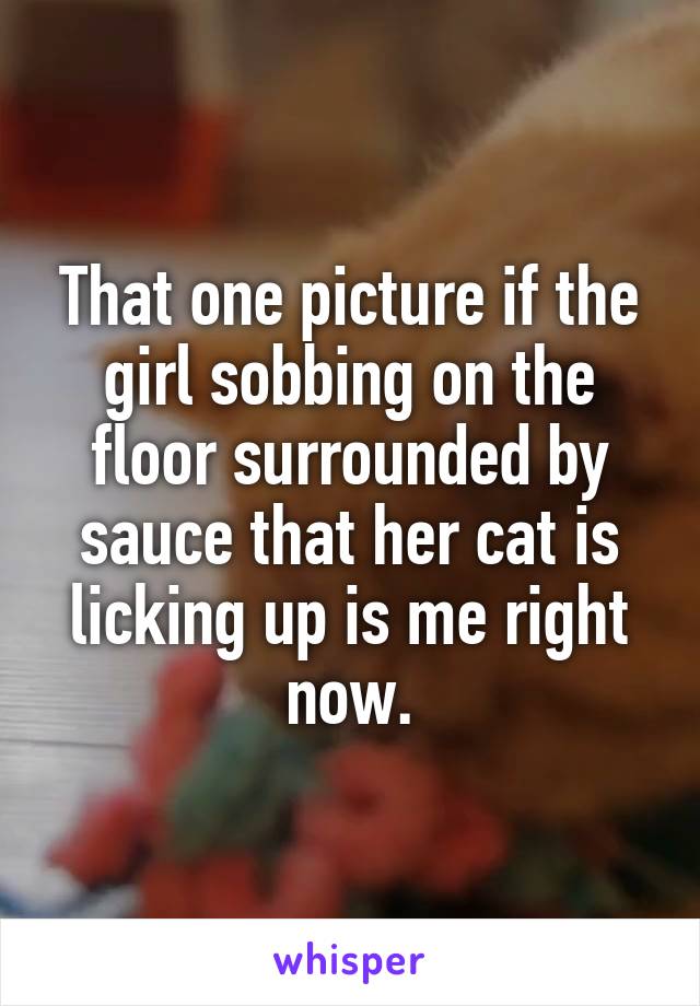 That one picture if the girl sobbing on the floor surrounded by sauce that her cat is licking up is me right now.