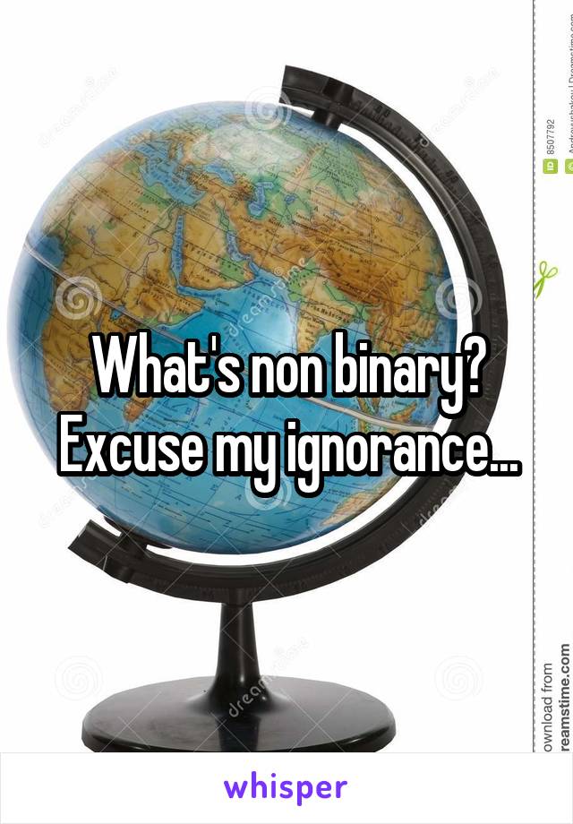 What's non binary? Excuse my ignorance...