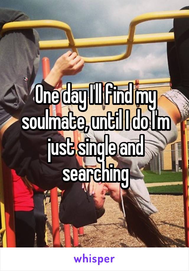 One day I'll find my soulmate, until I do I'm just single and searching