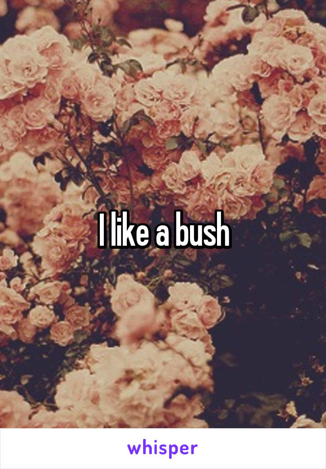 I like a bush