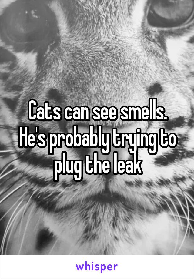 Cats can see smells.
He's probably trying to plug the leak