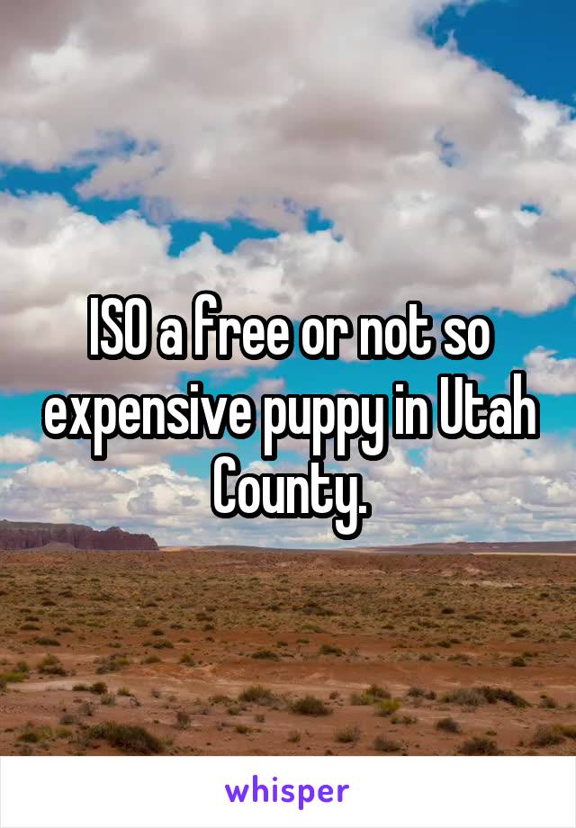 ISO a free or not so expensive puppy in Utah County.
