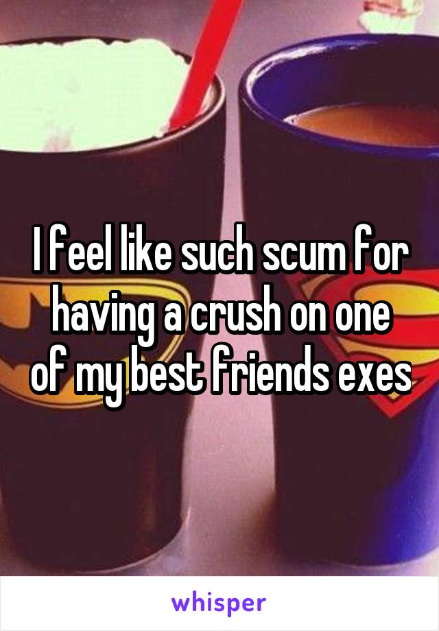 I feel like such scum for having a crush on one of my best friends exes