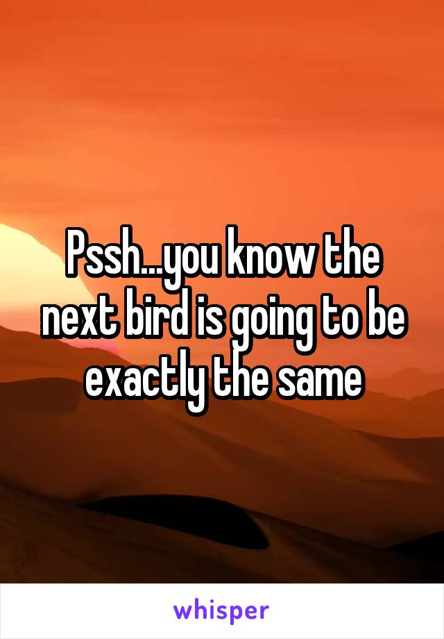 Pssh...you know the next bird is going to be exactly the same
