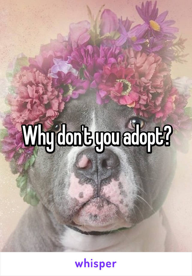 Why don't you adopt?