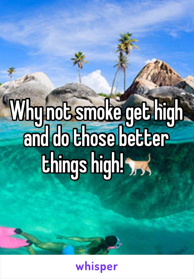 Why not smoke get high and do those better things high!🐈