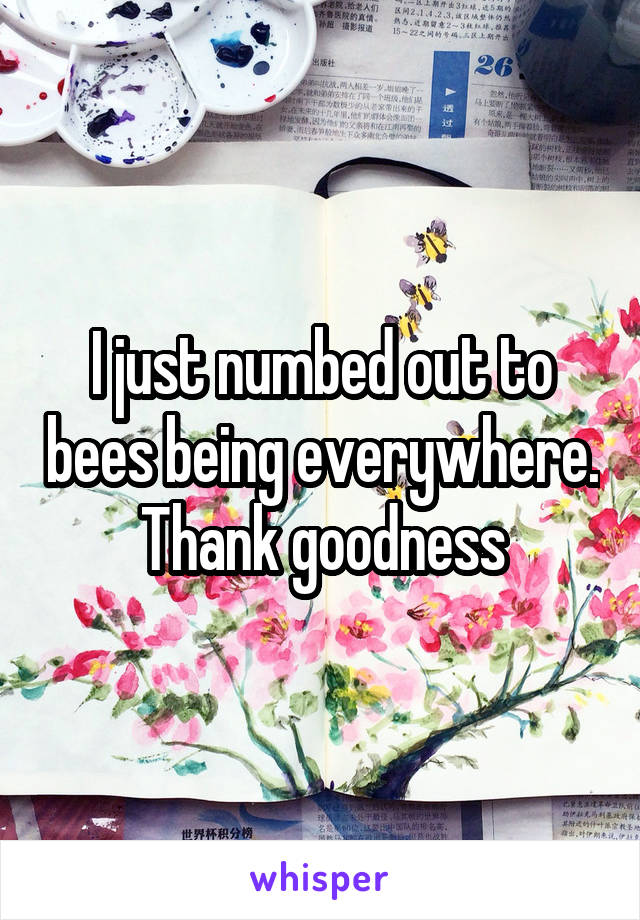 I just numbed out to bees being everywhere. Thank goodness