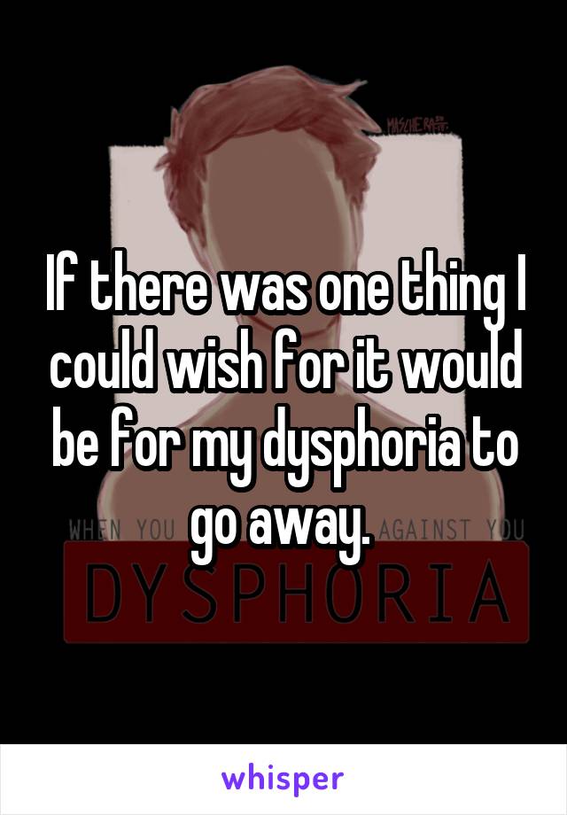 If there was one thing I could wish for it would be for my dysphoria to go away. 