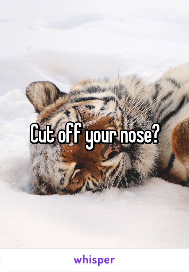 Cut off your nose?