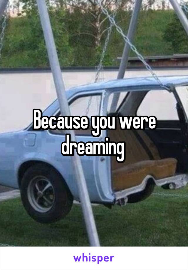 Because you were dreaming 