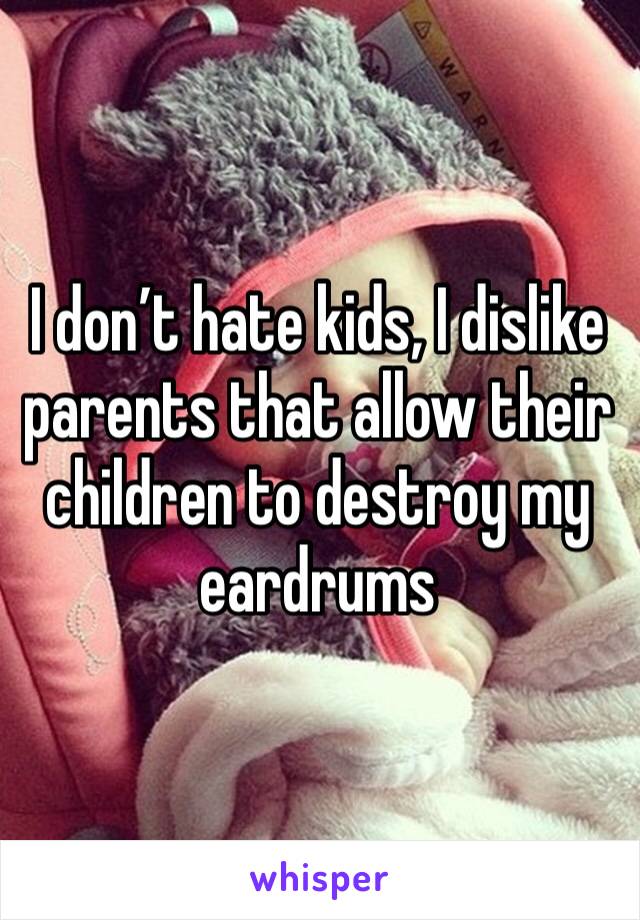 I don’t hate kids, I dislike parents that allow their children to destroy my eardrums 