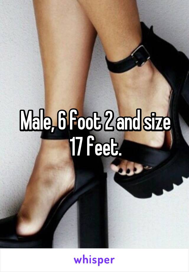 Male, 6 foot 2 and size 17 feet.