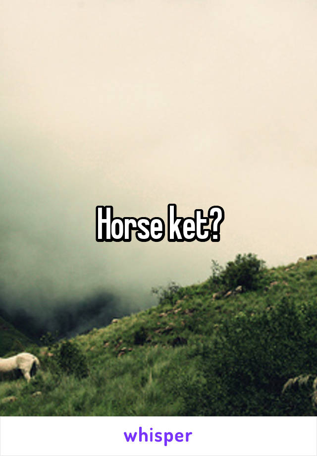 Horse ket?