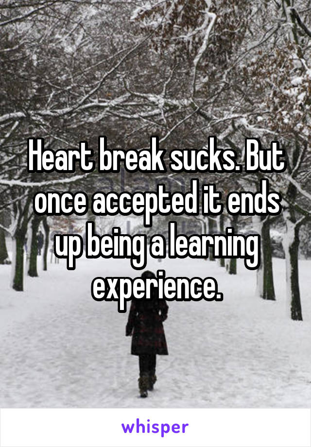 Heart break sucks. But once accepted it ends up being a learning experience.