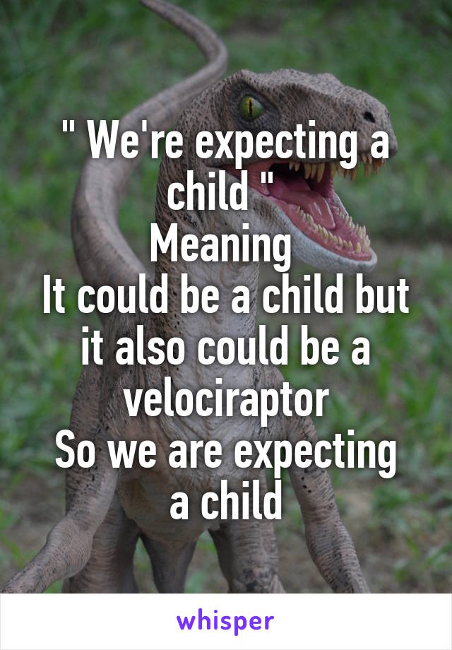 " We're expecting a child " 
Meaning 
It could be a child but it also could be a velociraptor
So we are expecting a child