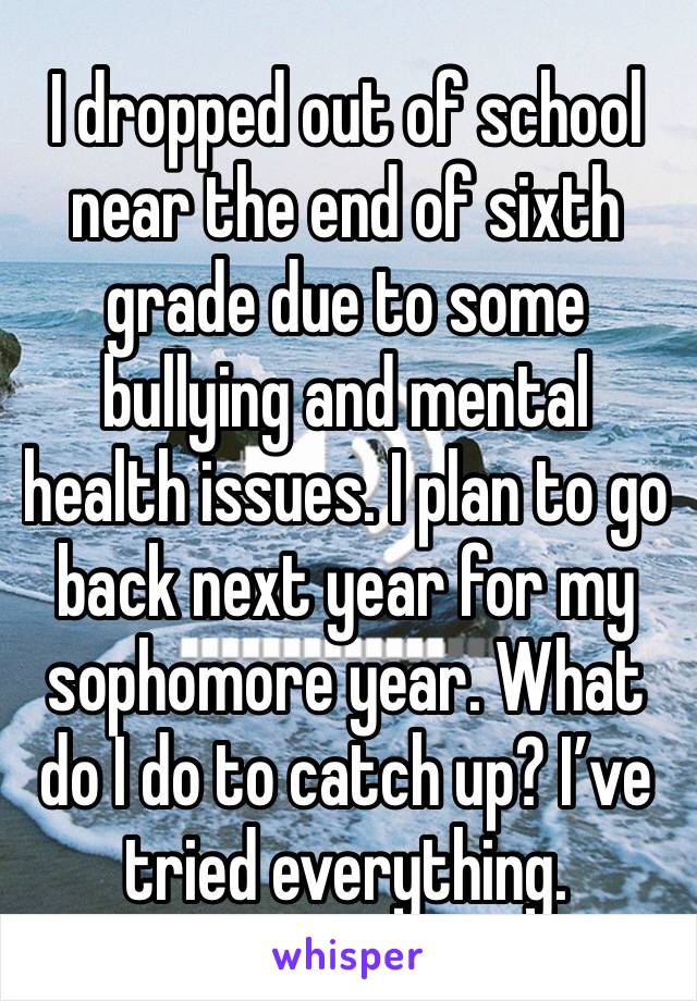 I dropped out of school near the end of sixth grade due to some bullying and mental health issues. I plan to go back next year for my sophomore year. What do I do to catch up? I’ve tried everything.