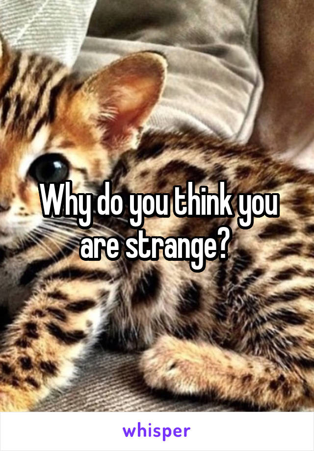 Why do you think you are strange? 