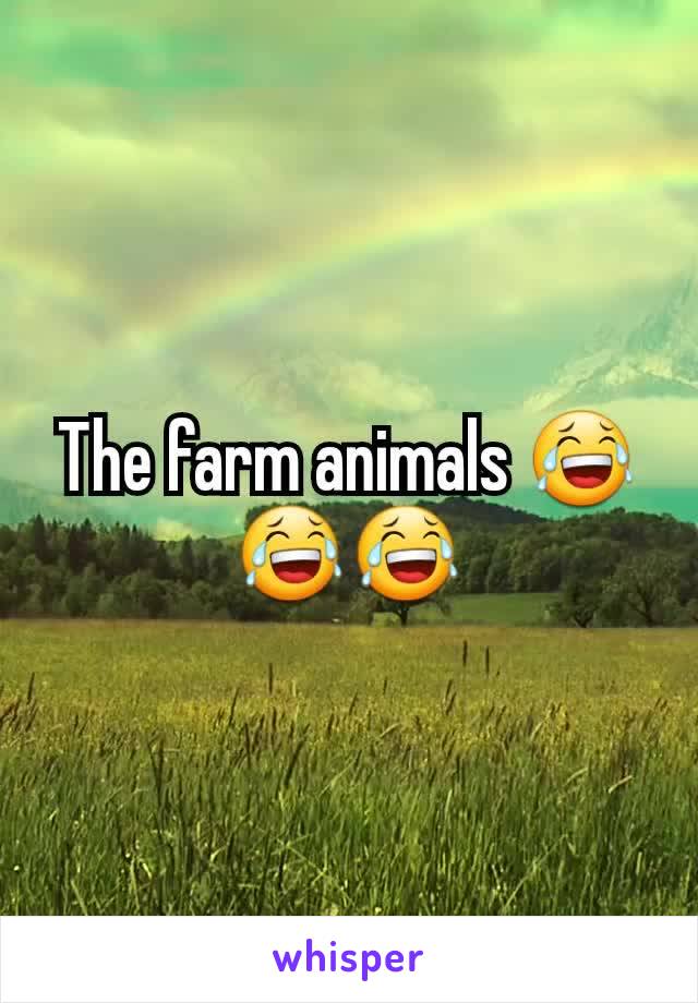 The farm animals 😂😂😂