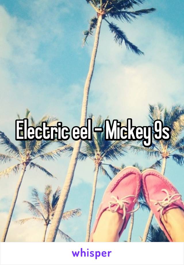 Electric eel - Mickey 9s