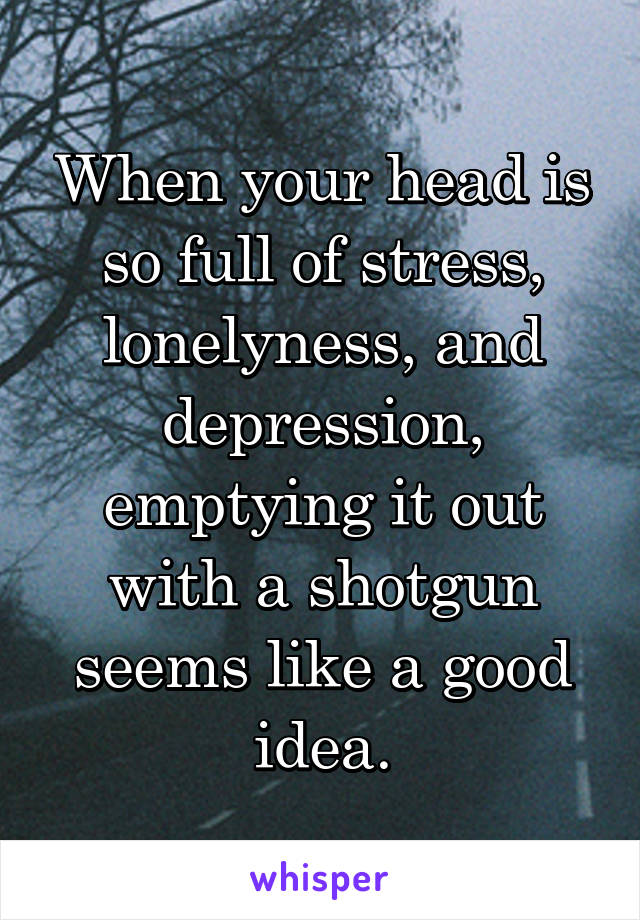 When your head is so full of stress, lonelyness, and depression, emptying it out with a shotgun seems like a good idea.