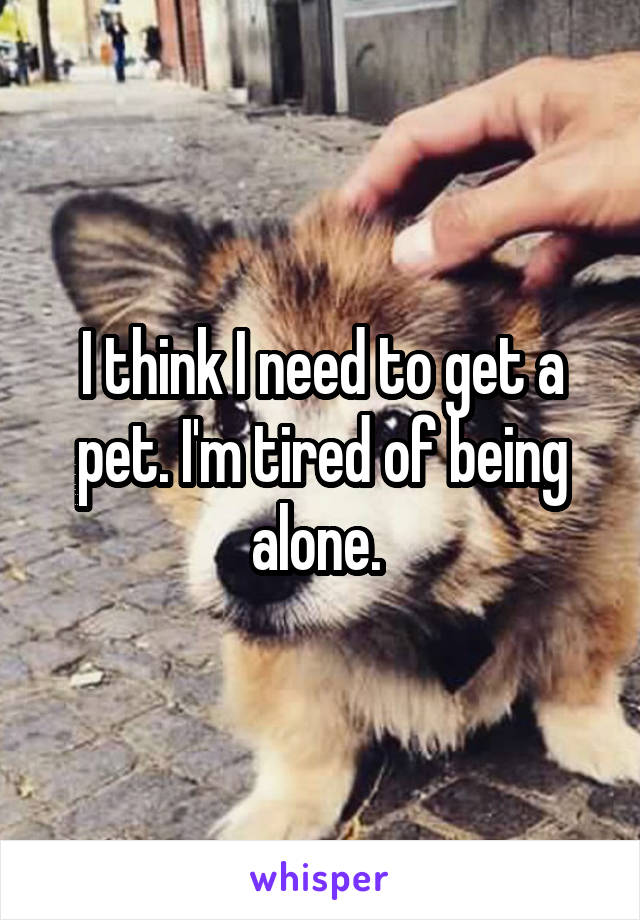 I think I need to get a pet. I'm tired of being alone. 