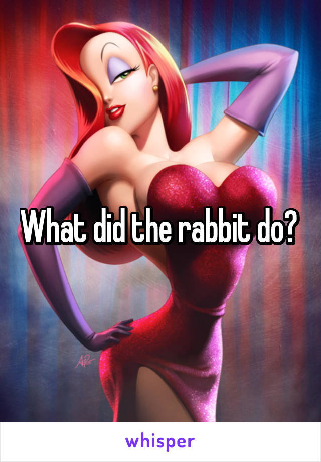 What did the rabbit do? 
