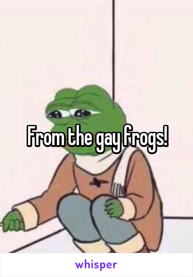 From the gay frogs!