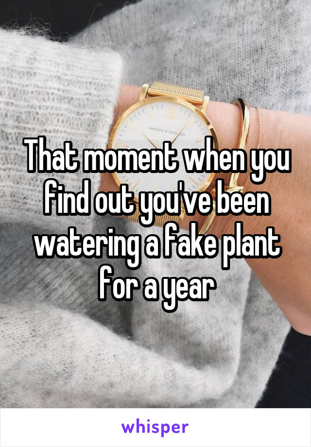 That moment when you find out you've been watering a fake plant for a year