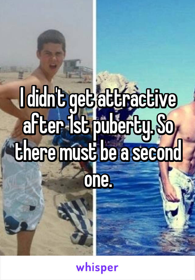 I didn't get attractive after 1st puberty. So there must be a second one.