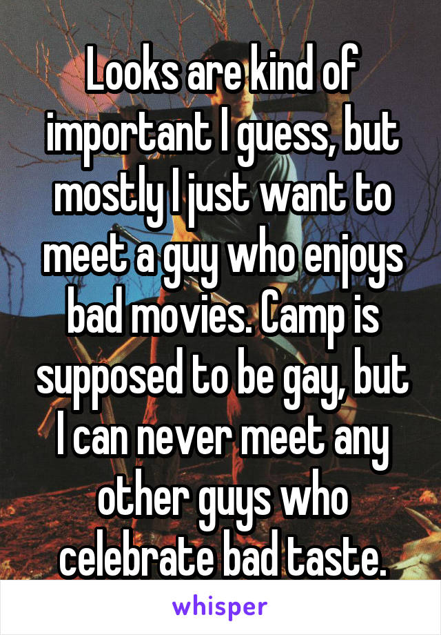 Looks are kind of important I guess, but mostly I just want to meet a guy who enjoys bad movies. Camp is supposed to be gay, but I can never meet any other guys who celebrate bad taste.