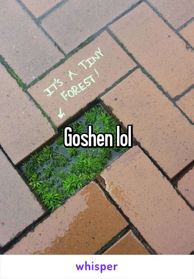 Goshen lol