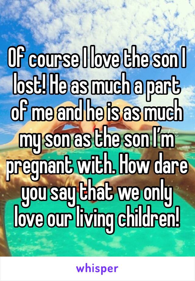 Of course I love the son I lost! He as much a part of me and he is as much my son as the son I’m pregnant with. How dare you say that we only love our living children!