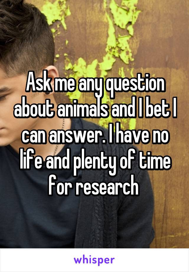 Ask me any question about animals and I bet I can answer. I have no life and plenty of time for research 
