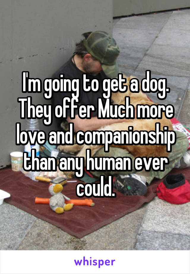 I'm going to get a dog. They offer Much more love and companionship than any human ever could.