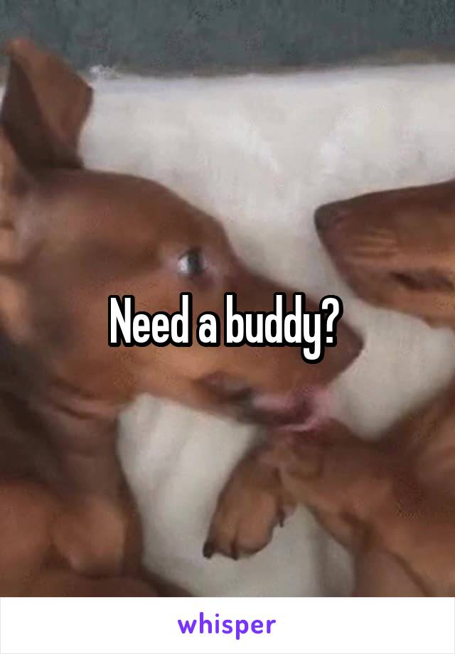 Need a buddy? 