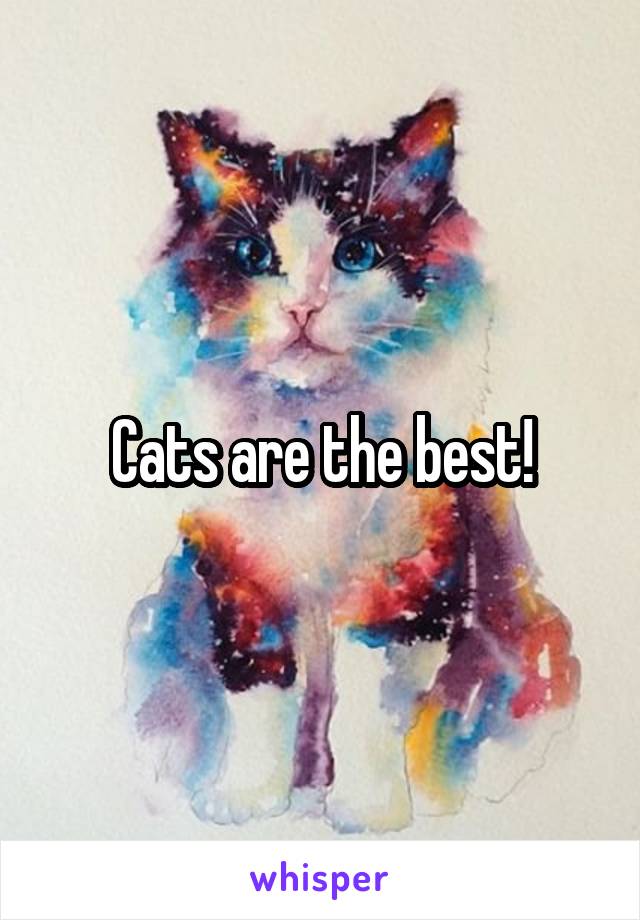 Cats are the best!