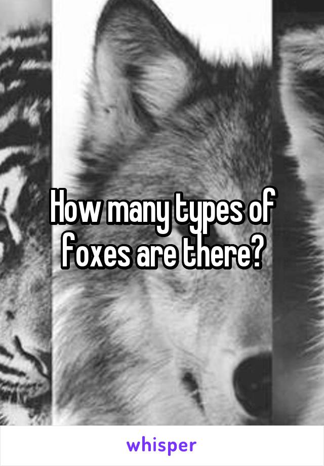 How many types of foxes are there?
